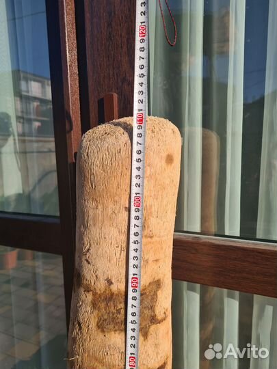 Дрифтвуд стволы пальм