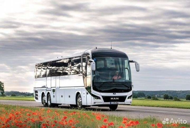Авиабилеты, Ж.Д Билеты, Маска для визы