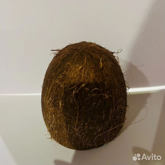 Витамины для геккона