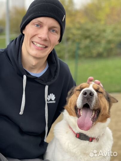 35 кг счастья пропадают в приюте