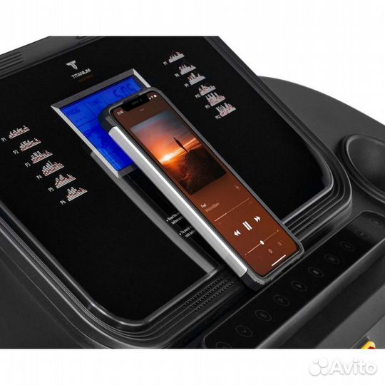 Беговая дорожка Titanium Masters Physiotech A360