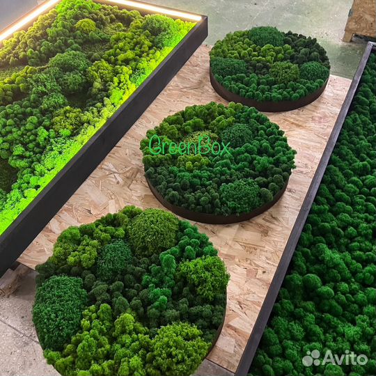 Панно круглое из мха