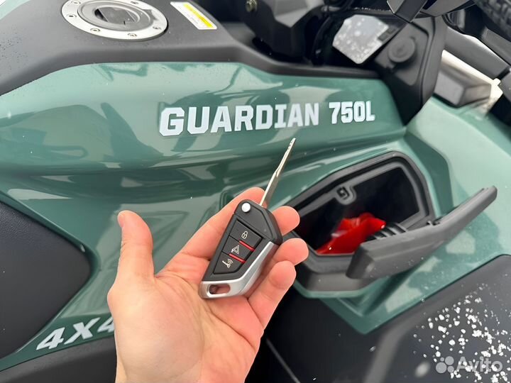 Квадроцикл Hisun Guardian 750L