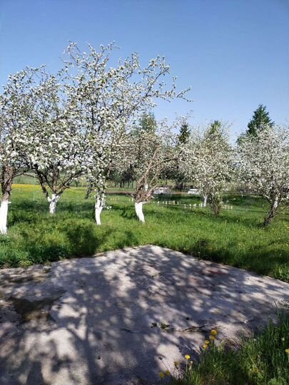 Дом 40 м² на участке 40 сот.