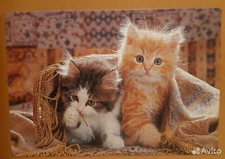 Пазл Step puzzle 560 деталей