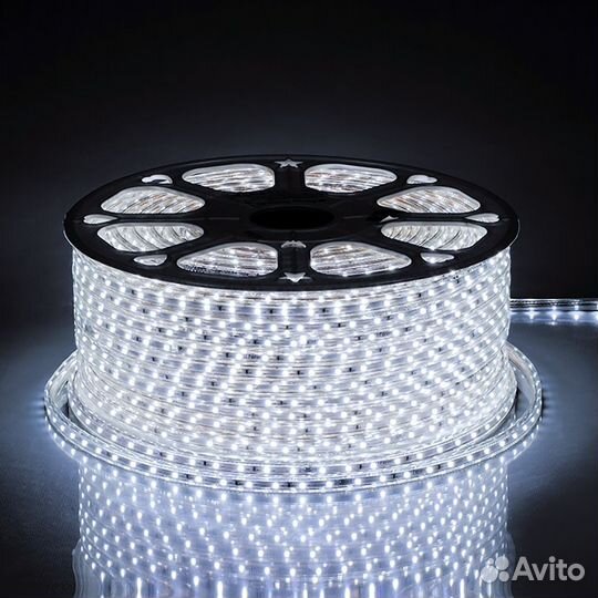 Cветодиодная лента 220V 100м LS704 26243 6400К