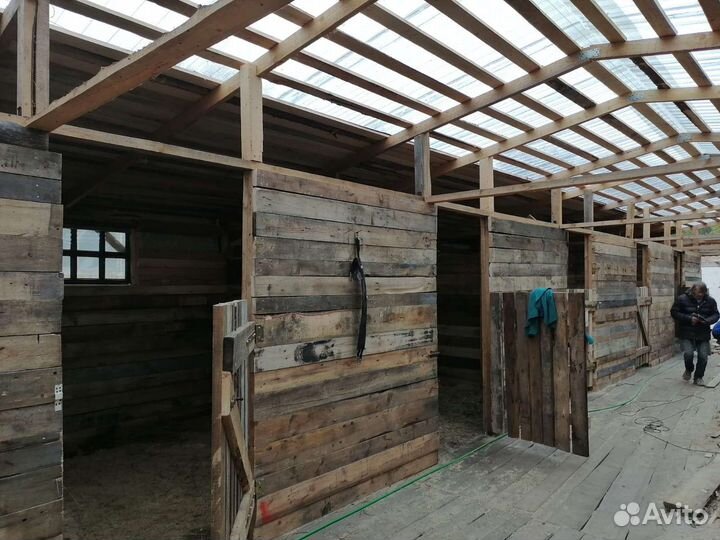 Постой частных лошадей