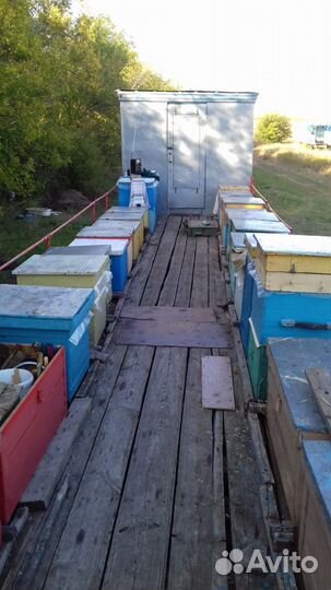 Пчелоприцепы все