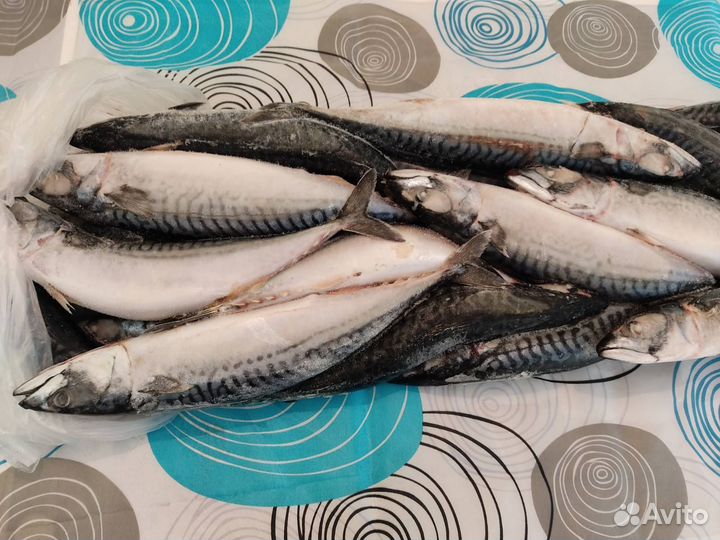 Рыба на дом