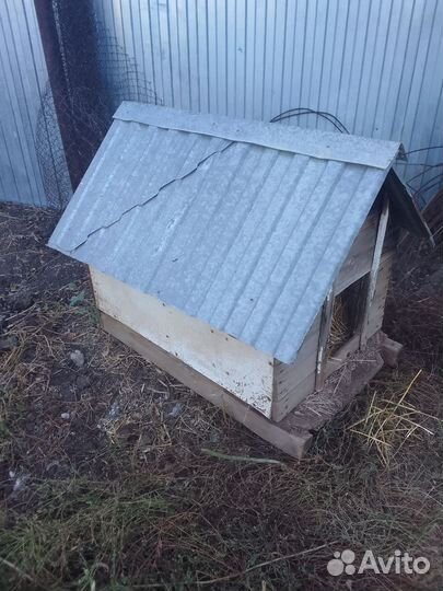 Будка для собаки