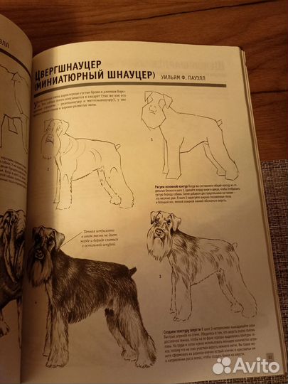 Детские книги по рисованию