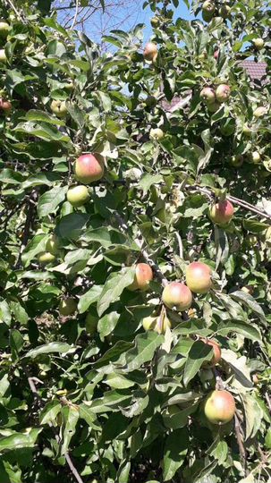 Дом 58 м² на участке 7 сот.