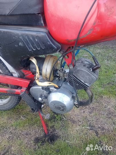 Мопед карпаты