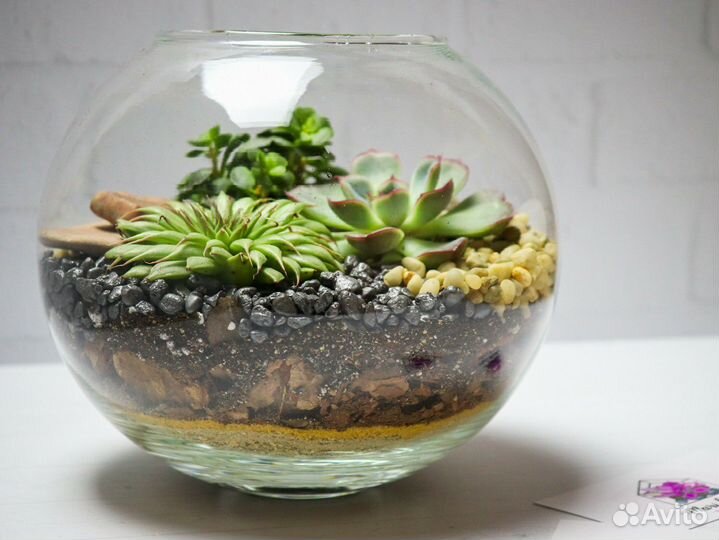 Флорариум на день рождения подарок