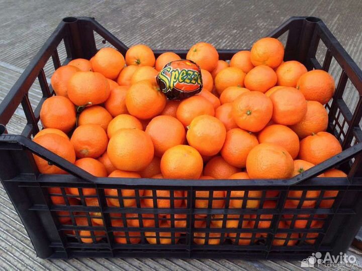 Ящики пластмассовые и деревянные