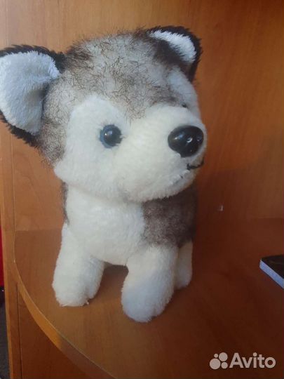 Мишка Тедди и собака хаски