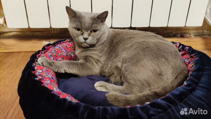 Лежанка для котиков