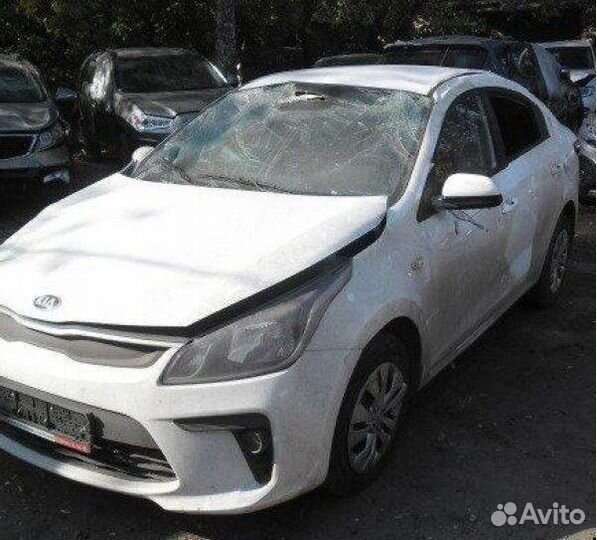 Rio 4 Rio X-line 2017