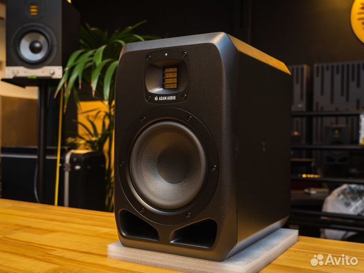 Adam S2V В наличии