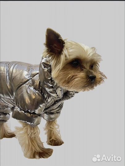 Костюм для собак размер L