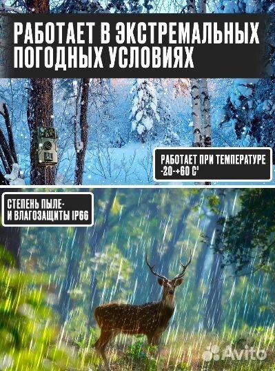Фотоловушка