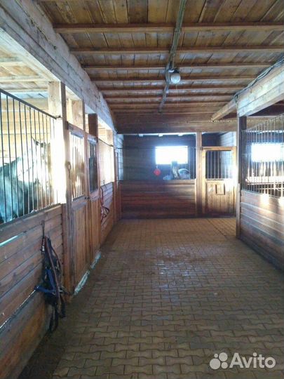 Постой для лошадей