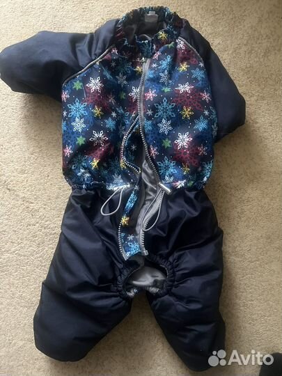 Одежда для средних собак