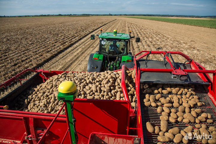 Комбайн Grimme SE 150/170-60, 2023