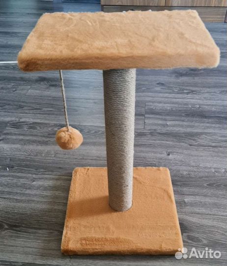 Когтеточка