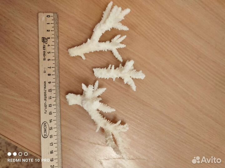 Кораллы для аквариума натуральные