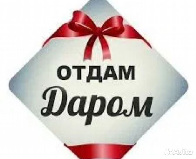 Детские вещи на мальчика бесплатно