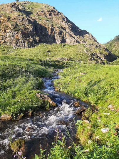 Участок 16 сот. (ИЖС)