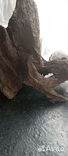 Декорация для аквариума из настоящего дерева