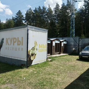 Магазин живой птицы