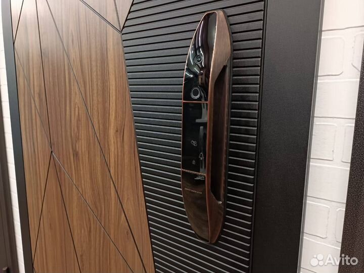 Даерь входная с биометрическим замком