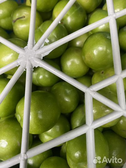 Алыча ящик 4кг крепкая кислая