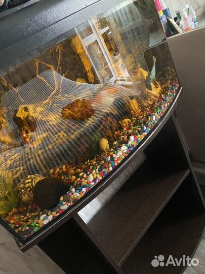 Аквариум с тумбой бу