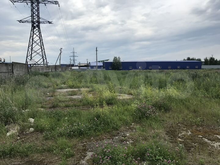 Участок 56 сот. (промназначения)