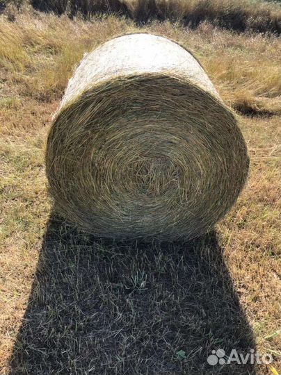 Село в луронах