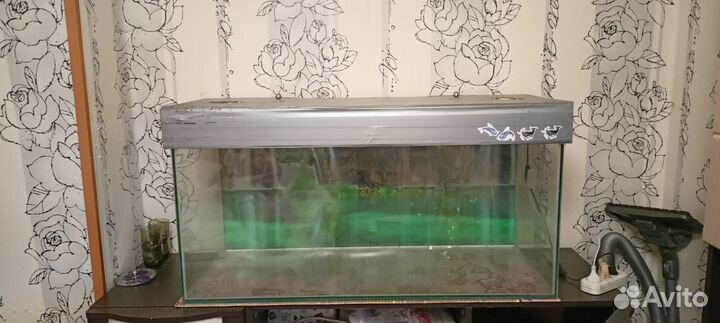 Аквариум