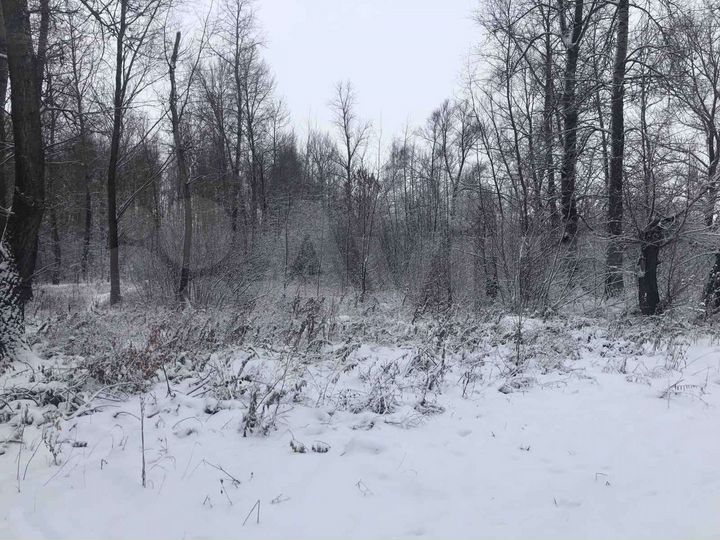 Участок 12 сот. (ИЖС)
