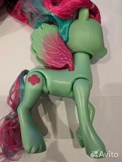 Пони номер 19