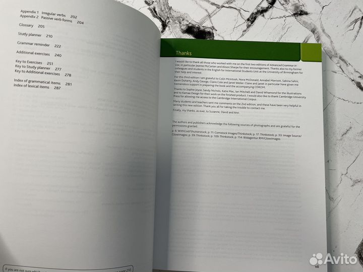 Advanced Grammar in use Big