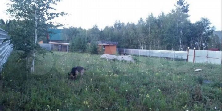 Дом 15 м² на участке 12 сот.