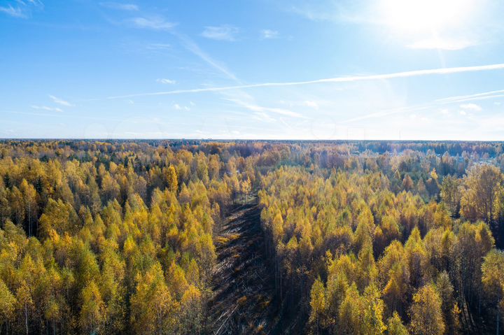 Участок 9,8 сот. (СНТ, ДНП)