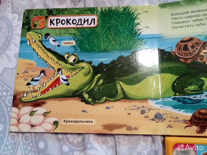 Музыкальные книги