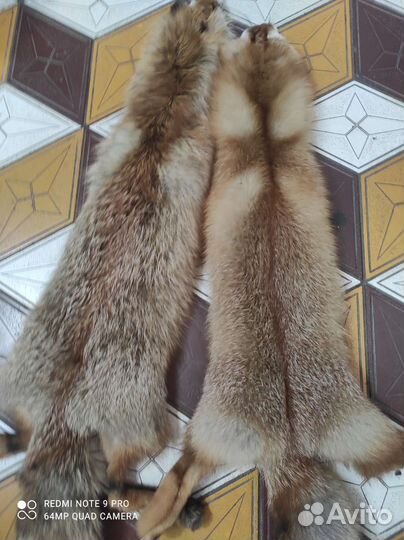 Шкура лисы