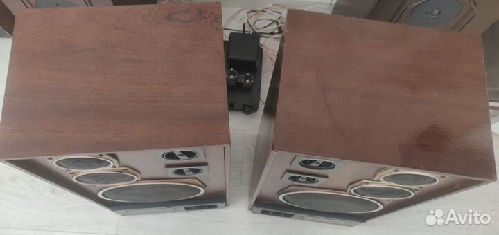 Акустическая система Радиотехника s90 (35ас-212)