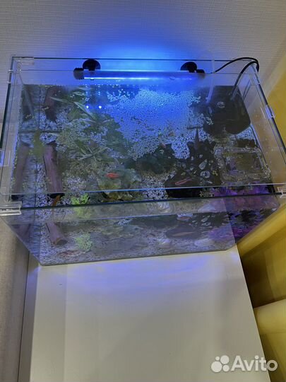 Аквариум без наполнения