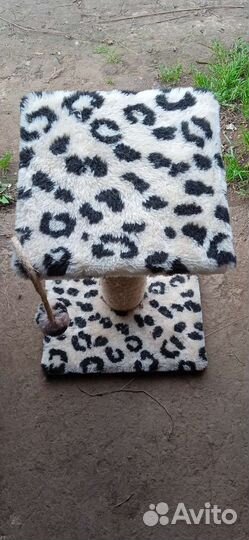 Когтеточка